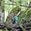 Gebietswanderung Rinnerberger Wasserfall